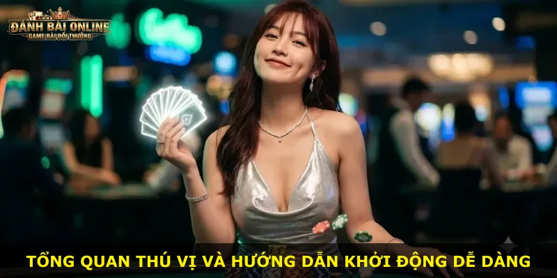 Tổng quan thú vị và hướng dẫn khởi động dễ dàng